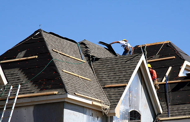 Best Metal Roofing Contractor  in Marshall, WI