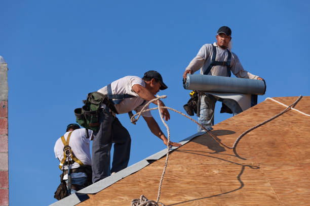 Best Roof Gutter Cleaning  in Marshall, WI