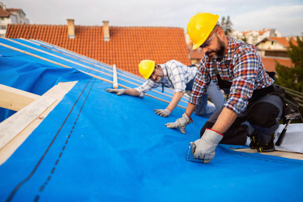 Best Best Roofing Contractors  in Marshall, WI