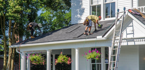 Best Roof Gutter Cleaning  in Marshall, WI