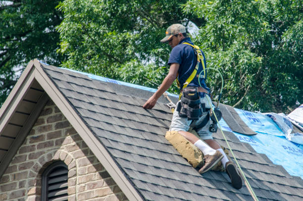 Best Gutter Installation and Roofing  in Marshall, WI